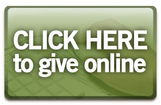 GiveOnline RedirectButton